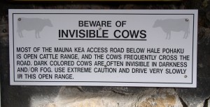 sign stating "beware of invisible cows"